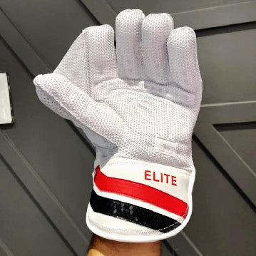 SS ELITE WICKET KEEPING GLOVES