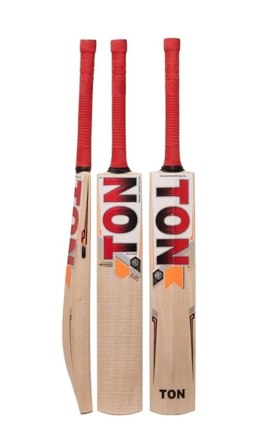 SS Ton Maximus Kashmir Willow Bat