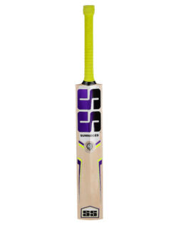 SS Super Power Kashmir Willow Cricket Bat