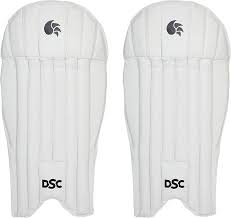 DSC INTENSE ATTITUDE	WICKET KEEPING PAD