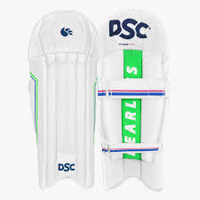 DSC INTENSE SHOC	WICKET KEEPING PAD