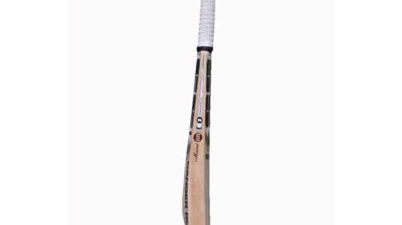 SS DRE RUSS Kashmir Willow Cricket Bat-SH