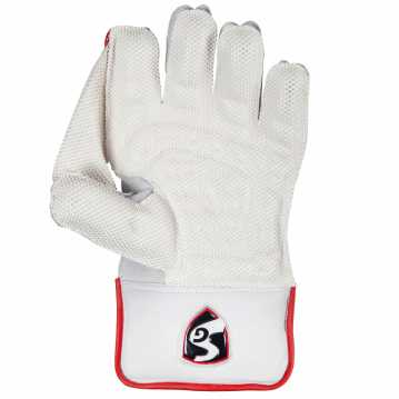 SG Test Wicket Keeping Gloves (Multi-Color)