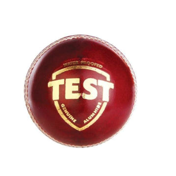 SG Cricket Ball - Test