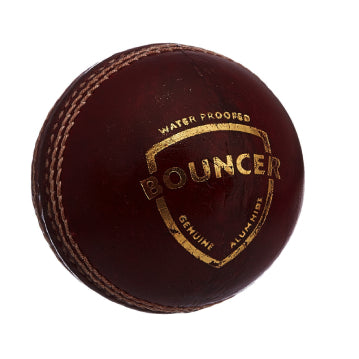 SG Cricket Ball Bouncer