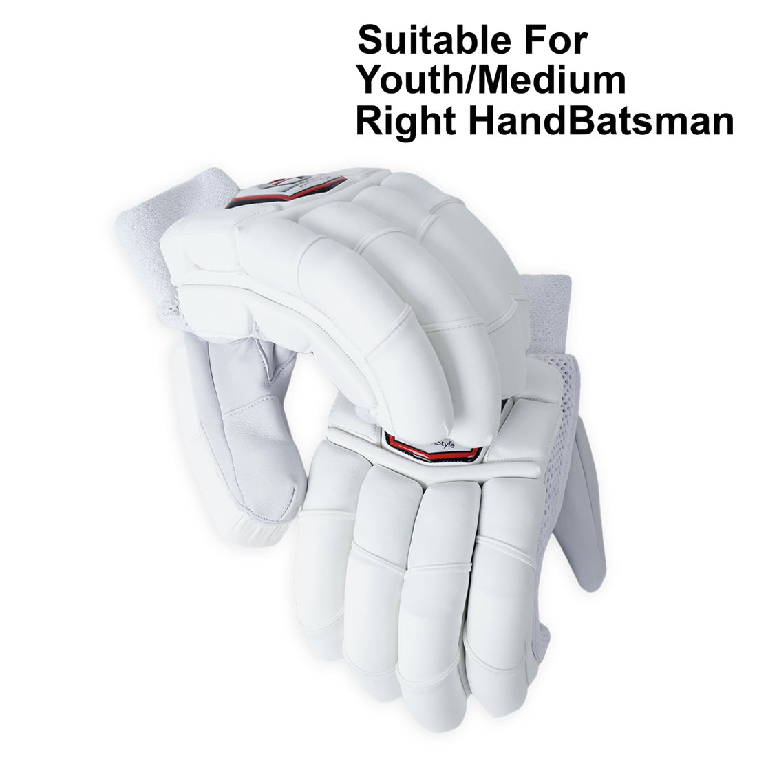 Players Edition Batting Gloves