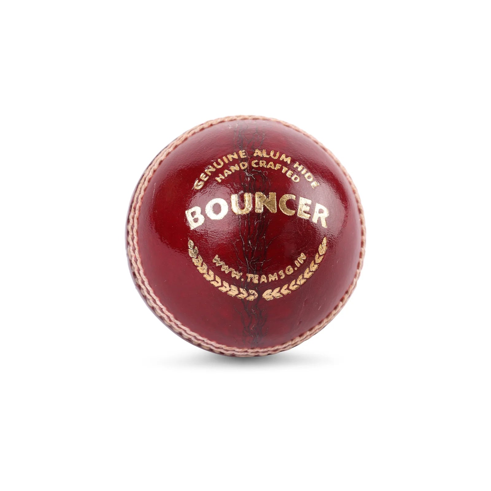 SG Bouncer Cricket Leather Ball