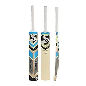 SG RSD Spark Kashmir Willow Cricket Bat