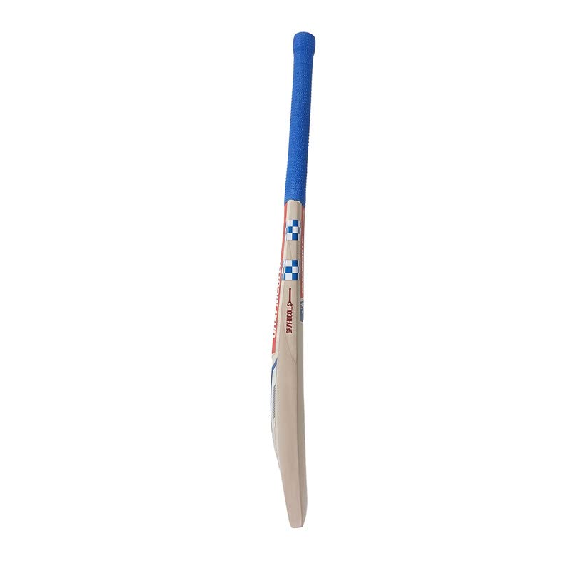Gray-Nicolls Delta Signature Edition GN3 Bat