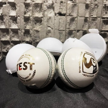 SG TEST WHITE CRICKET BALL (PACK OF 2)