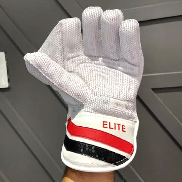 SS ELITE WICKET KEEPING GLOVES