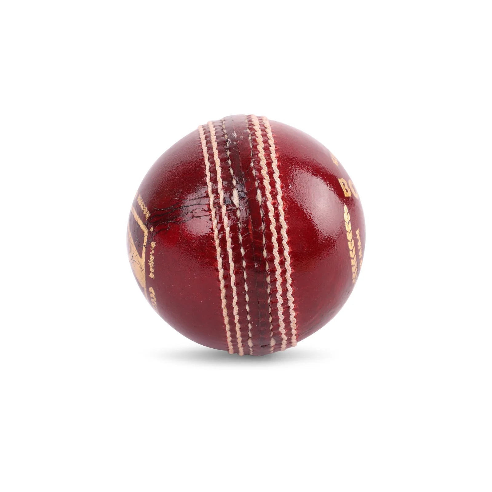 SG Bouncer Cricket Leather Ball