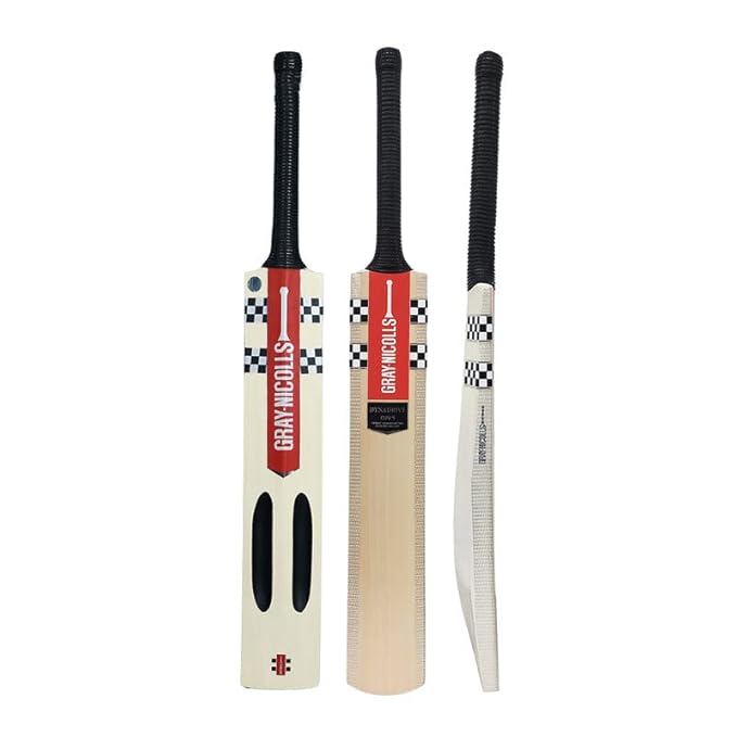 Gray-Nicolls DYNADRIVE GN1 Exclusive 2023 English Willow bat
