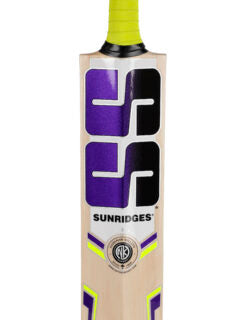 SS Super Power Kashmir Willow Cricket Bat