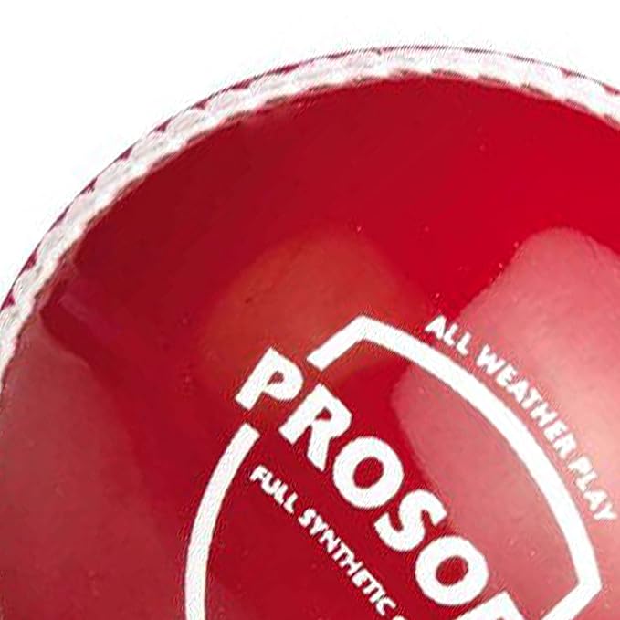 SG Prosoft Cricket Leather Ball