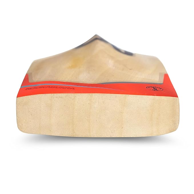 KOOKABURRA Cricket Bat Kashmir Willow Rapid PRO 20