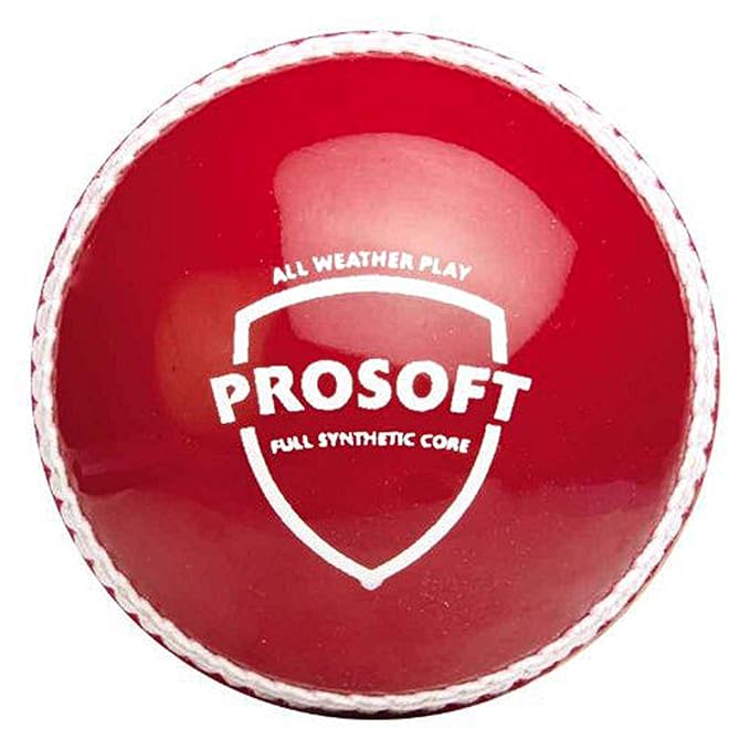 SG Prosoft Cricket Leather Ball