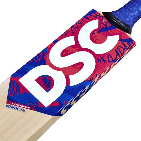 DSC Intense Zeal Kashmir Willow Cricket Bat