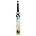 DSC Condor Flicker Kashmir Willow Cricket Bat