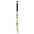 DSC Condor Flicker Kashmir Willow Cricket Bat