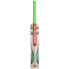 Gray-Nicolls Kashmiri Willow Fusion Range