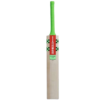 Gray-Nicolls Kashmiri Willow Fusion Range
