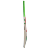 Gray-Nicolls Kashmiri Willow Fusion Range