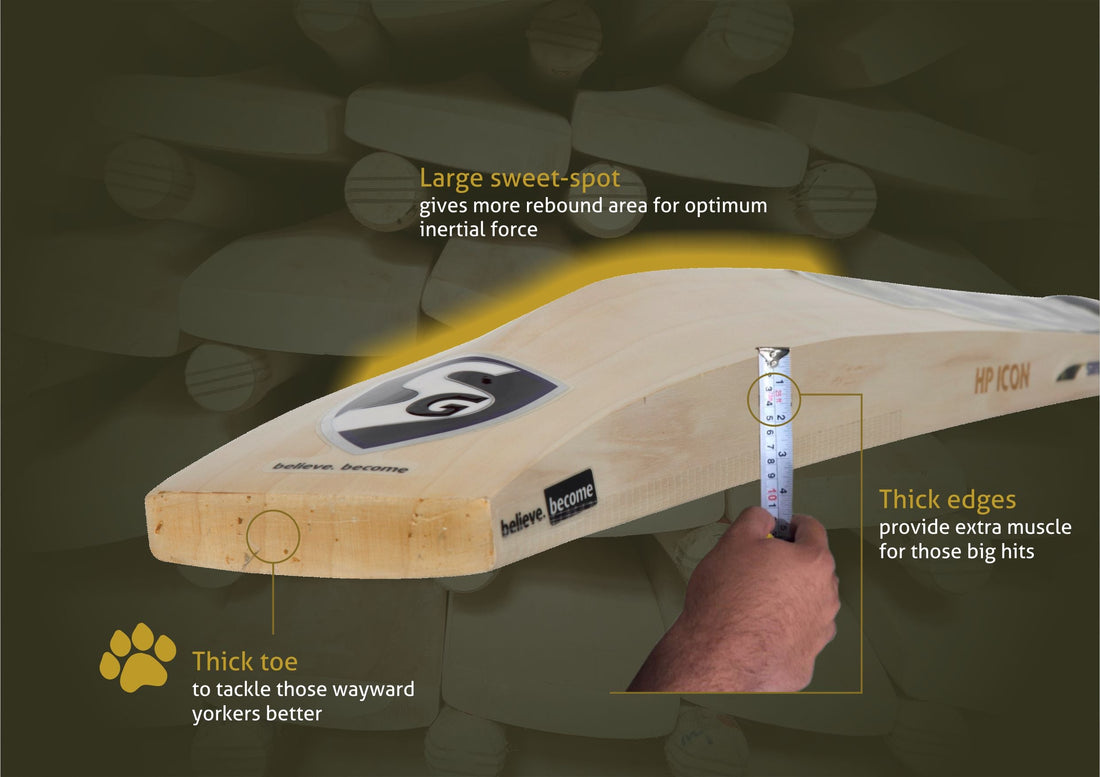 SG HP Icon - Cricket Bat