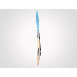 NB DC 370+ KASHMIR WILLOW CRICKET BAT