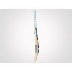NB DC 640 ENGLISH WILLOW CRICKET BAT