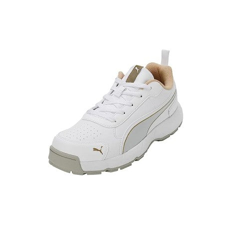 Puma gold cricket shoes online