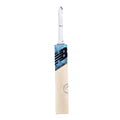 New Balance DC 1040 English Willow Cricket Bat Size SH