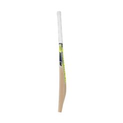 SF CANNON KASHMIR WILLOW CRICKET BAT