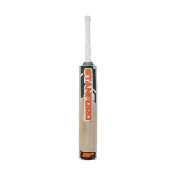 SF IMPACT KASHMIR WILLOW CRICKET BAT