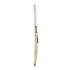 SG RSD PLUS KASHMIR WILLOW CRICKET BAT