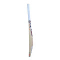 SG RP Xtreme English Willow Cricket Bat Size SH