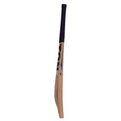 SS TON PLAYER EDITION ENGLISH WILLOW CRICKET BAT