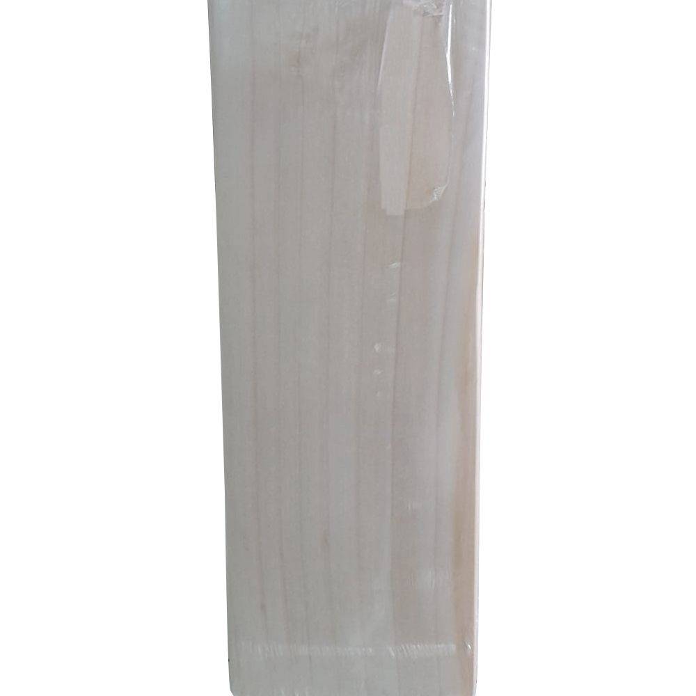SS Ravindra Jadeja English Willow Cricket Bat