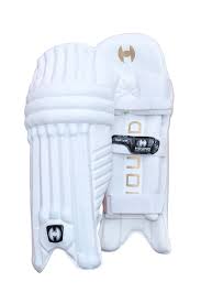 HOUND	251 NOT OUT	BATTING PAD