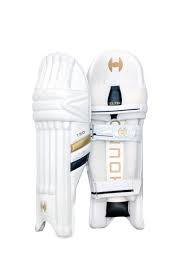 HOUND	B LEG GUARD T20	BATTING PAD