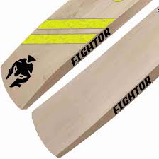 FIGHTOR  FURY Kashmir Willow Cricket Bat