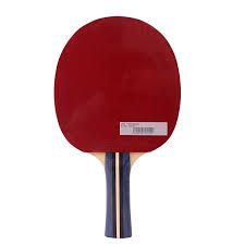Donic Master Table Tenis