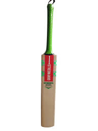 Gray Nicolls Hypernova Range Kashmir Willow Cricket Bat