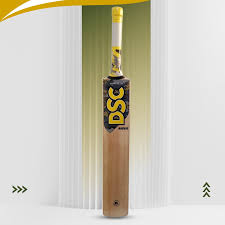 DSC Radius Kashmir Willow Cricket Tennis Bat