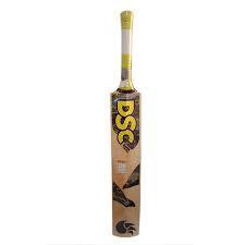 DSC Super Control Tennis Cricket Bat