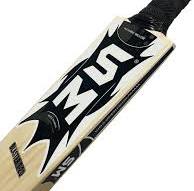 JET  EW Cricket Bat