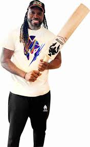 FIGHTOR  FURY Kashmir Willow Cricket Bat