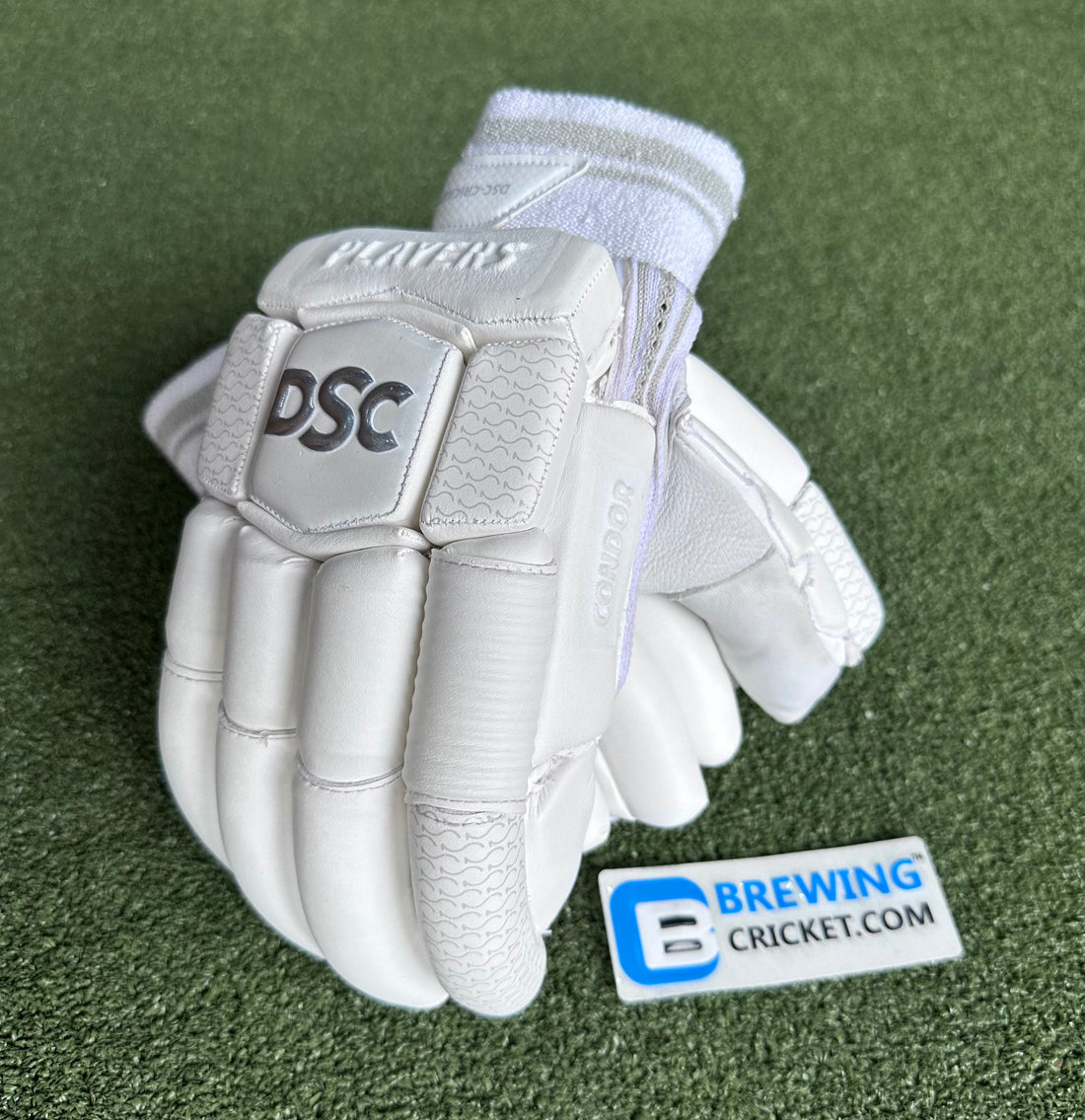 DSC Condor Players - Batting Gloves