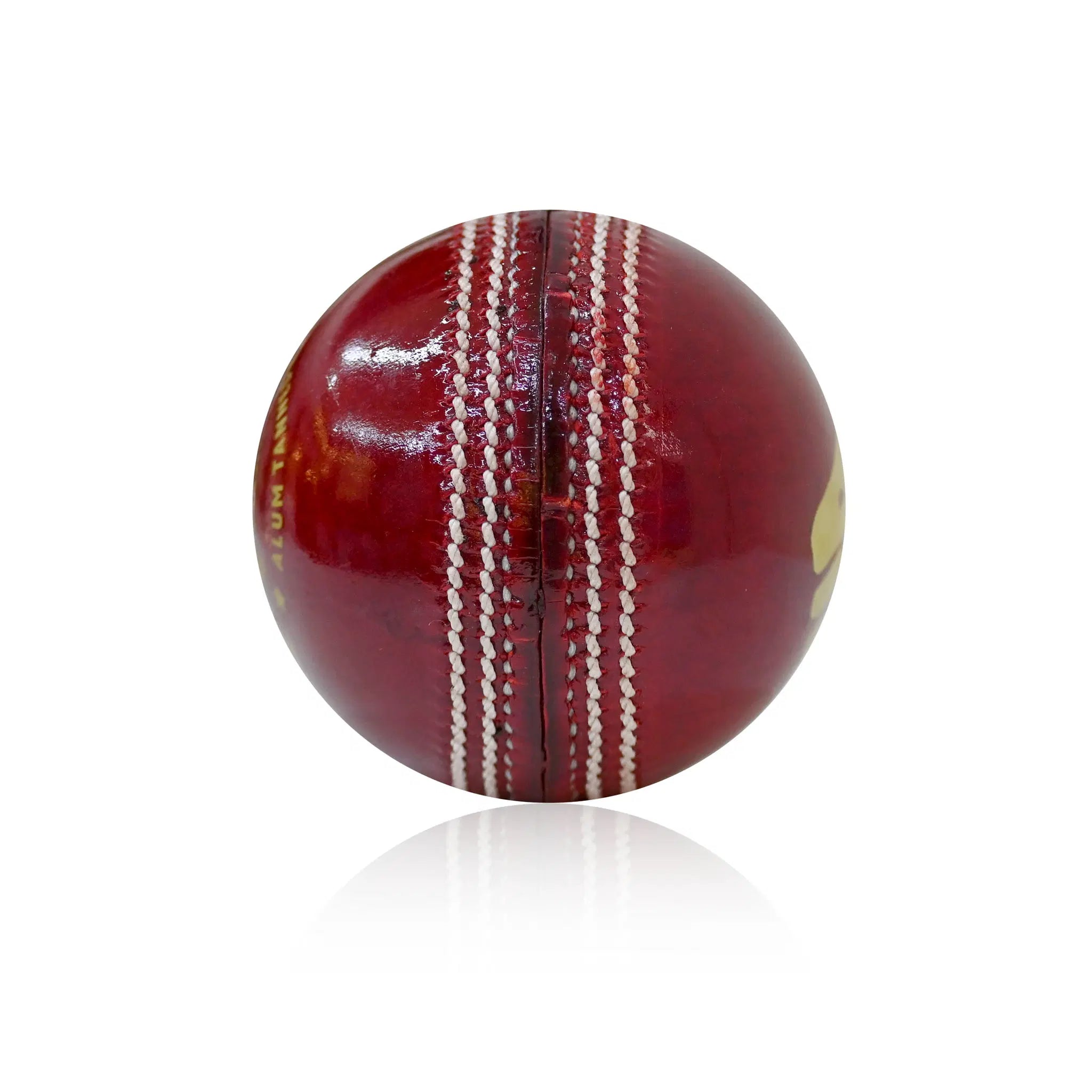 SF Leather Cricket Ball
