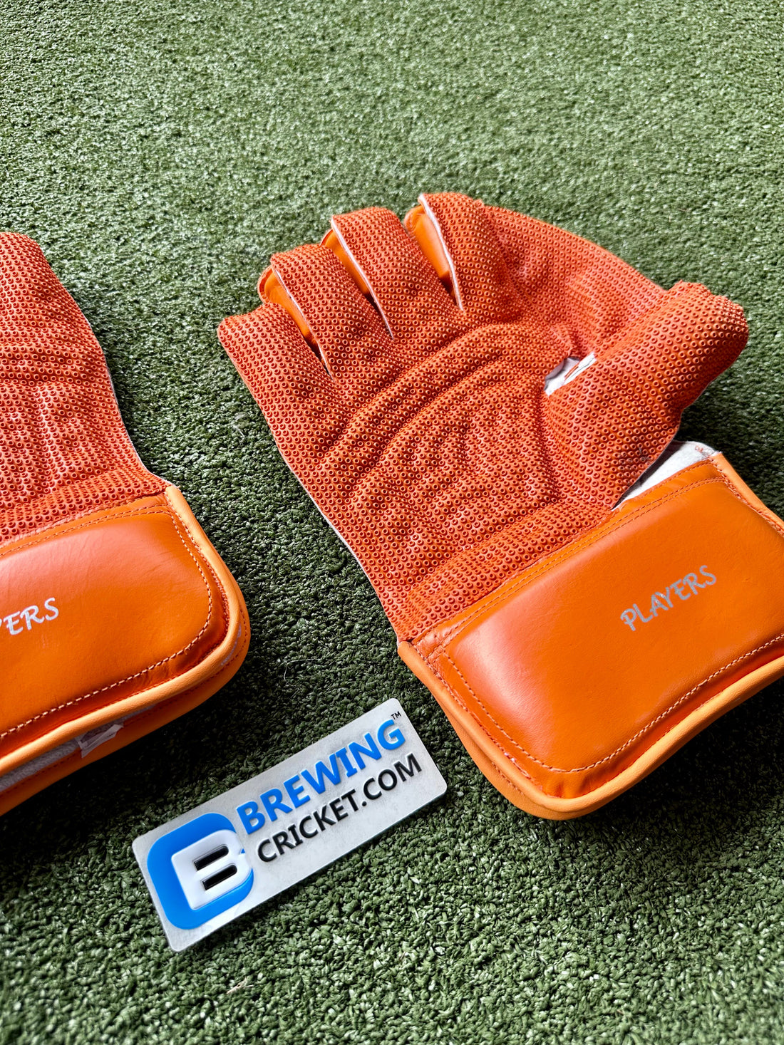 SS Ton MSD Players - Keeping Gloves